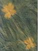 indigo 4-petal flowers on yellow silk scrap