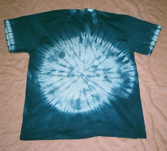 ammonite back