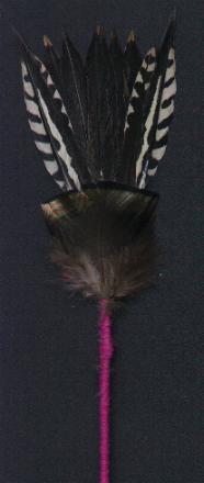 woodpecker tail feathers on a stick